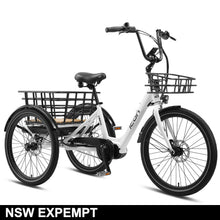 Load image into Gallery viewer, E-Matic 24" - NSW Exempt