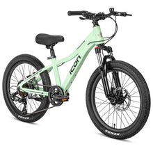 Load image into Gallery viewer, Freedom 20" MTB Mint