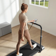 Load image into Gallery viewer, WalkingPad R1 Double-Fold Walking and Running Treadmill - Silver