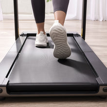 Load image into Gallery viewer, WalkingPad X21 Double-Fold Walking and Running Treadmill