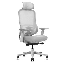 Load image into Gallery viewer, Lifespan Fitness DM8 Ergonomic Office Desk Chair (White/Grey)
