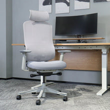 Load image into Gallery viewer, Lifespan Fitness DM8 Ergonomic Office Desk Chair (White/Grey)
