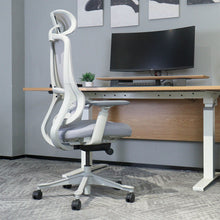 Load image into Gallery viewer, Lifespan Fitness DM8 Ergonomic Office Desk Chair (White/Grey)