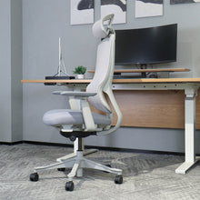 Load image into Gallery viewer, Lifespan Fitness DM8 Ergonomic Office Desk Chair (White/Grey)