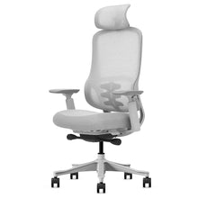 Load image into Gallery viewer, Lifespan Fitness DM8 Ergonomic Office Desk Chair (White/Grey)