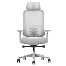 Load image into Gallery viewer, Lifespan Fitness DM8 Ergonomic Office Desk Chair (White/Grey)