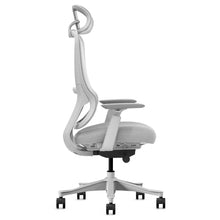 Load image into Gallery viewer, Lifespan Fitness DM8 Ergonomic Office Desk Chair (White/Grey)