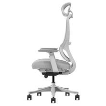 Load image into Gallery viewer, Lifespan Fitness DM8 Ergonomic Office Desk Chair (White/Grey)