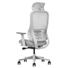 Load image into Gallery viewer, Lifespan Fitness DM8 Ergonomic Office Desk Chair (White/Grey)