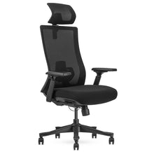 Load image into Gallery viewer, Lifespan Fitness DM9 Ergonomic Mesh High Back Office Chair