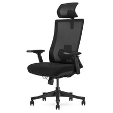 Load image into Gallery viewer, Lifespan Fitness DM9 Ergonomic Mesh High Back Office Chair