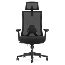Load image into Gallery viewer, Lifespan Fitness DM9 Ergonomic Mesh High Back Office Chair