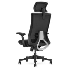 Load image into Gallery viewer, Lifespan Fitness DM9 Ergonomic Mesh High Back Office Chair