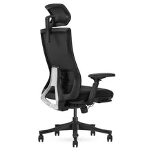 Load image into Gallery viewer, Lifespan Fitness DM9 Ergonomic Mesh High Back Office Chair