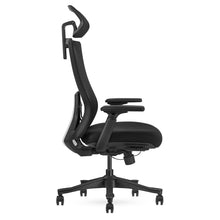Load image into Gallery viewer, Lifespan Fitness DM9 Ergonomic Mesh High Back Office Chair