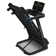 Load image into Gallery viewer, Lifespan Fitness Delta 1.1 Treadmill