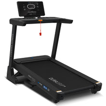 Load image into Gallery viewer, Lifespan Fitness Delta 2.0 Treadmill