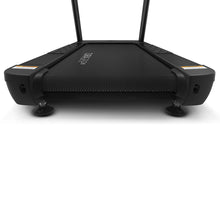 Load image into Gallery viewer, Lifespan Fitness Delta 4.1 Commercial Treadmill