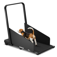 Load image into Gallery viewer, LSG PaceMate 2-in-1 Dog Treadmill &amp; Walking Pad