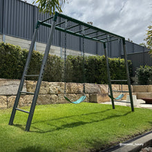 Load image into Gallery viewer, Stanley Commercial Steel 2-in-1 Monkey Bars &amp; Swing Set