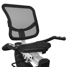 Load image into Gallery viewer, RC-300 Recumbent Bike