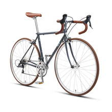 Load image into Gallery viewer, Sole Cr-Mo Road Bike Grey