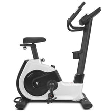 Load image into Gallery viewer, Lifespan Fitness EXC-100 Commerical Exercise Bike