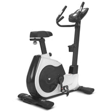 Load image into Gallery viewer, Lifespan Fitness EXC-100 Commerical Exercise Bike