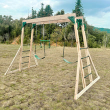 Load image into Gallery viewer, Daintree 2-in-1 Monkey Bars &amp; Swing Set