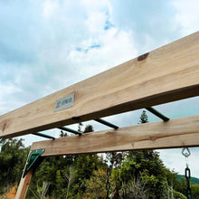 Load image into Gallery viewer, Daintree 2-in-1 Monkey Bars &amp; Swing Set