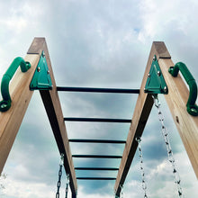 Load image into Gallery viewer, Daintree 2-in-1 Monkey Bars &amp; Swing Set