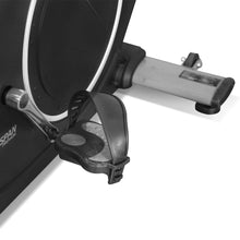 Load image into Gallery viewer, RC-300 Recumbent Bike